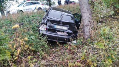 В Николаевской области пьяный водитель «Опеля» сбил подростка и вылетел в кювет | Корабелов.ИНФО