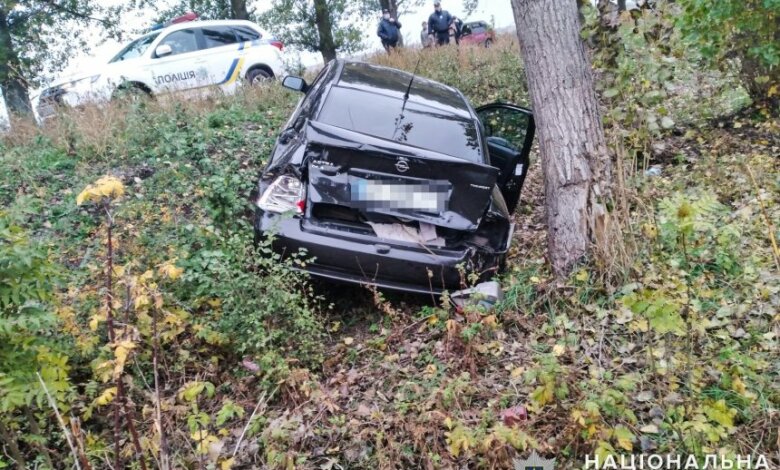 В Николаевской области пьяный водитель «Опеля» сбил подростка и вылетел в кювет | Корабелов.ИНФО