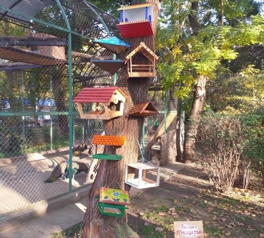 В Николаевском зоопарке открыли «Ресторан «Птицерия» | Корабелов.ИНФО image 2