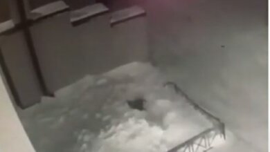 В России 6-летняя девочка вылетела из окна четвёртого этажа, встала и пошла обратно в дом (видео) | Корабелов.ИНФО