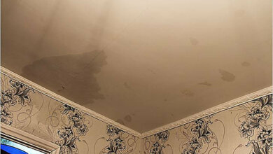 Николаевец отсудил 36 тысяч за потоп в квартире из-за за некачественного ремонта крыши | Корабелов.ИНФО