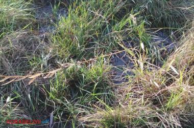 Опять подтопления: активность подземных вод беспокоит жителей Корабельного (видео) | Корабелов.ИНФО image 7