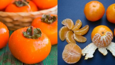 В Украине подорожал картофель и подешевела хурма с мандаринами | Корабелов.ИНФО