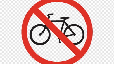 Вы все еще верите обещаниям? На новой объездной в Балабановском лесу тоже не будет велодорожек | Корабелов.ИНФО image 2