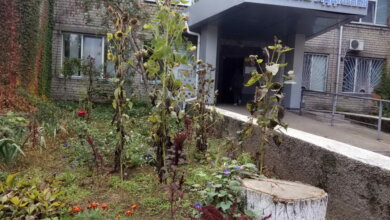 COVID на Николаевщине: 220 новых заболевших в сутки и одна смерть | Корабелов.ИНФО image 3