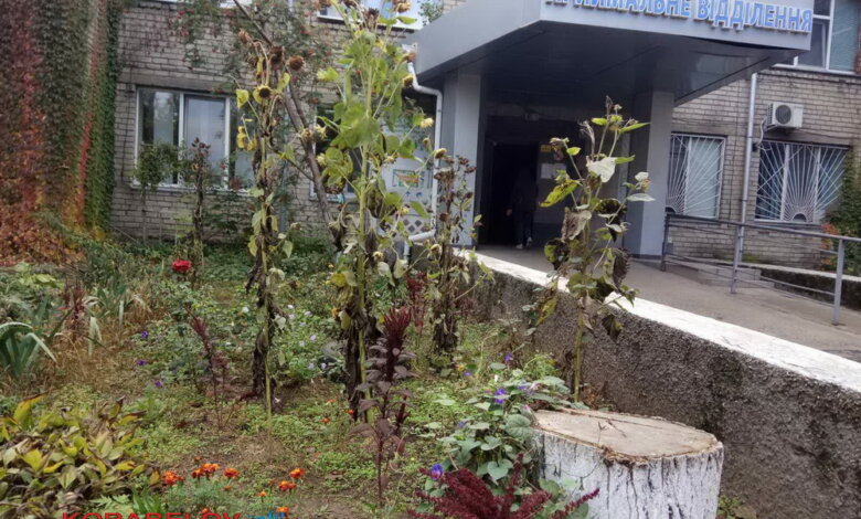 COVID на Николаевщине: 220 новых заболевших в сутки и одна смерть | Корабелов.ИНФО image 3