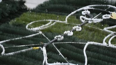 На главной площади Николаева устанавливают праздничную елку | Корабелов.ИНФО image 5