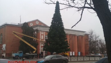 Установлена главная новогодняя елка в Корабельном районе | Корабелов.ИНФО image 1