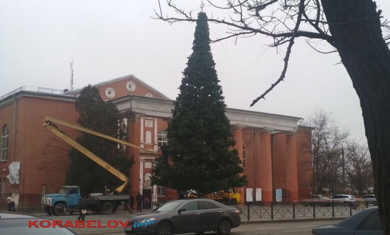 Установлена главная новогодняя елка в Корабельном районе | Корабелов.ИНФО image 1