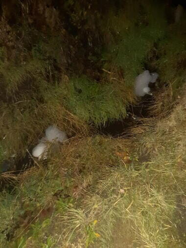 С заявлением на автомойку в Корабельном, сливающую химикаты в речку, обратились в полицию | Корабелов.ИНФО image 3