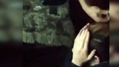 В Днепре 17-летнего парня избили и остригли ему волосы на камеру. Видео 18+ | Корабелов.ИНФО