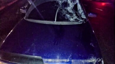 На трассе «Николаев-Одесса» «ВАЗ» сбил пешехода на переходе: мужчина скончался | Корабелов.ИНФО