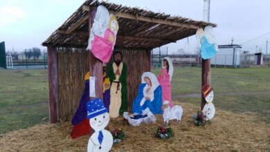 В Николаеве местная жительница создала Рождественский вертеп | Корабелов.ИНФО image 1