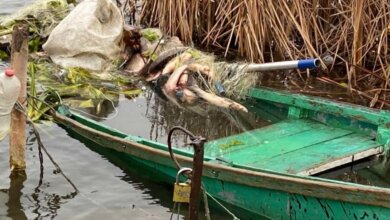 На реке Южный Буг двое рыбаков упали в воду: водолазы отправились на поиски | Корабелов.ИНФО