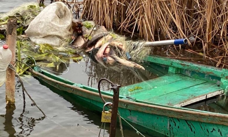 На реке Южный Буг двое рыбаков упали в воду: водолазы отправились на поиски | Корабелов.ИНФО
