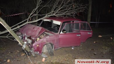 В Николаеве пьяный водитель на угнанном автомобиле слетел с дороги и врезался в дерево | Корабелов.ИНФО image 3
