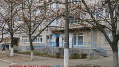 "Подарки под ёлку в Корабельный район": юные кикбоксеры привезли с одесского турнира 22 медали (видео) | Корабелов.ИНФО image 2