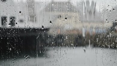 +11ºC: в Новогоднюю ночь в Николаеве обещают тепло, а утром ливень | Корабелов.ИНФО