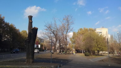 COVID на Николаевщине: 464 новых больных и 2 смерти за сутки | Корабелов.ИНФО
