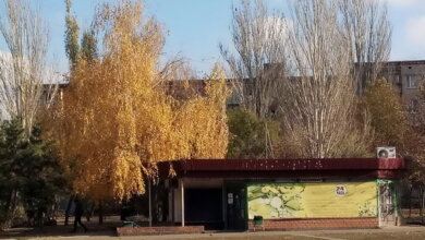 COVID на Николаевщине: 447 новых больных и 7 смертей за сутки | Корабелов.ИНФО