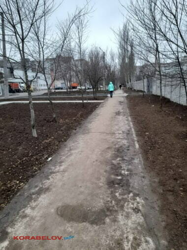 Елку нарядили, "уточки заехали"... Будни Корабельного района (Фото) | Корабелов.ИНФО image 13