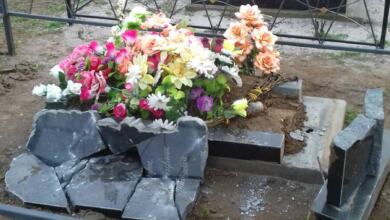Вандалы разрушили около 50 памятников на сельском кладбище в Витовском районе (видео) | Корабелов.ИНФО image 6