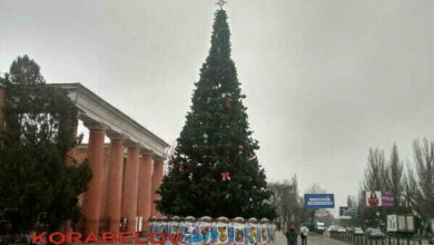 Елку нарядили, "уточки заехали"... Будни Корабельного района (Фото) | Корабелов.ИНФО image 12