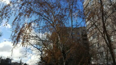 Час від часу - мряка та сніжні зерна... Прогноз погоди для миколаївців на вихідні | Корабелов.ИНФО image 2