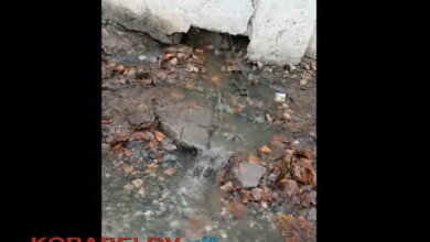 "Засранцы": областной сборный пункт в Корабельном районе продолжает сбрасывать нечистоты на дорогу. Видео | Корабелов.ИНФО