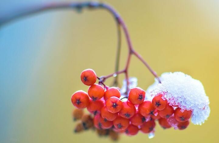 На Николаевщине на Старый Новый год может пойти снег | Корабелов.ИНФО