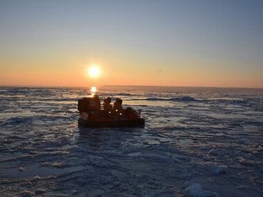 Спасатели, используя "Торнадо", пытались помочь лебедям | Корабелов.ИНФО image 2