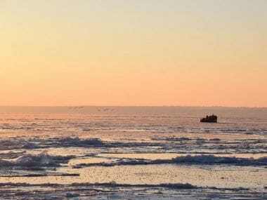 Спасатели, используя "Торнадо", пытались помочь лебедям | Корабелов.ИНФО image 7