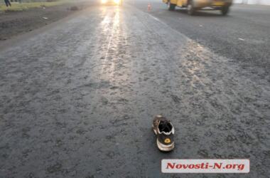 В Николаеве насмерть сбили водителя, который уходил пешком с места ДТП | Корабелов.ИНФО image 1