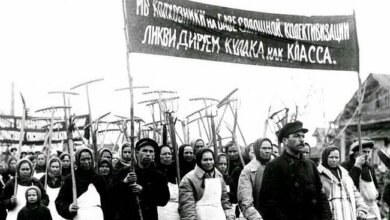 "Вразила кількість доносів": як родина аграрія з Миколаївщини дізналася правду про його розстріл НКВС | Корабелов.ИНФО image 2