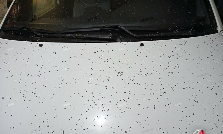 На Намыве в виде осадков выпало неизвестное вещество | Корабелов.ИНФО