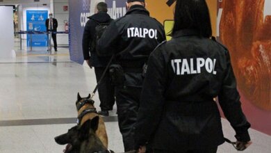В аэропорту Рима собаки будут выявлять коронавирус по запаху | Корабелов.ИНФО