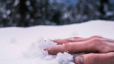 На территории дачного товарищества в Лупарево насмерть замерз человек | Корабелов.ИНФО