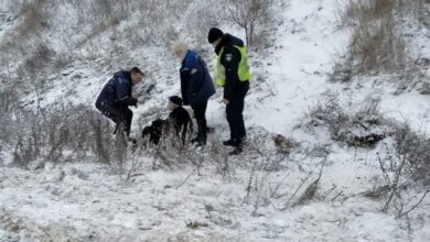 Патрульные в Витовском районе спасли пожилого мужчину,  который лежал в снегу и не мог подняться | Корабелов.ИНФО