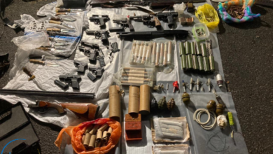 У николаевца нашли арсенал оружия, 4 кг каннабиса и 17 пакетов грибов | Корабелов.ИНФО image 2