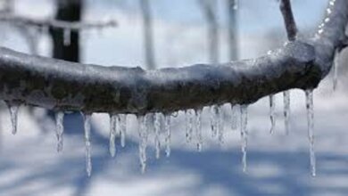 Завтра в Николаеве ожидается резкое потепление до +10 | Корабелов.ИНФО