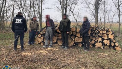 Николаевская СБУ занялась лесорубами | Корабелов.ИНФО image 2