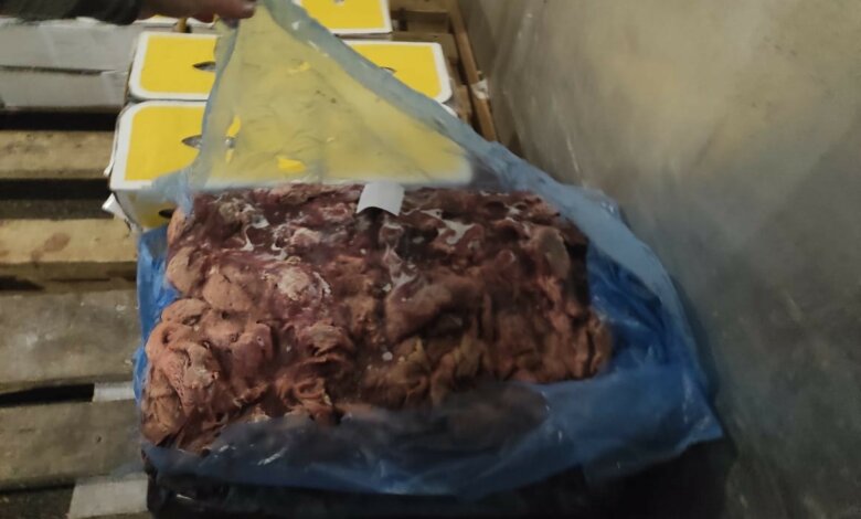 Шок от КОПа, который кормит детей, получила депутат Николаевского горсовета | Корабелов.ИНФО