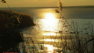 Как прекрасен этот мир, посмотри!