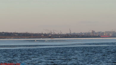 г. Николаев