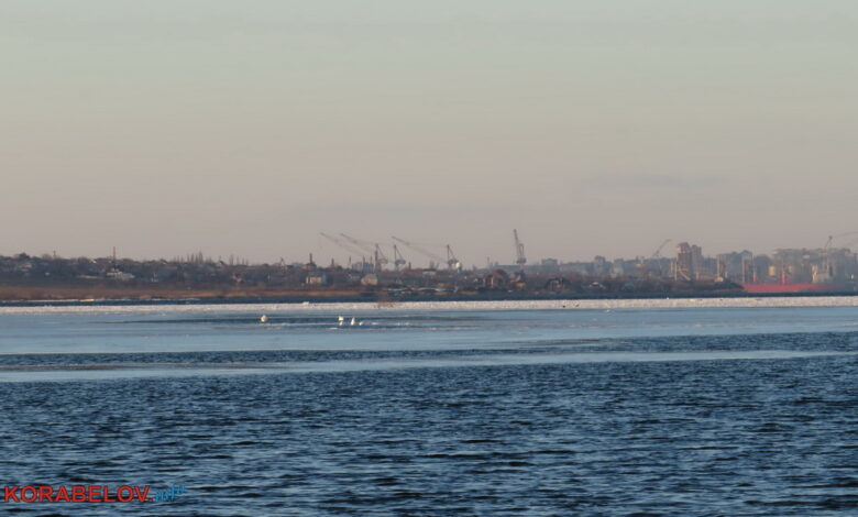 г. Николаев