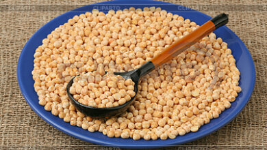 8 февраля - «Федор-поминальник» (народные приметы) | Корабелов.ИНФО