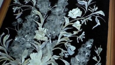 В Витовском районе мастерица создает картины из костей рыбы (Видео) | Корабелов.ИНФО