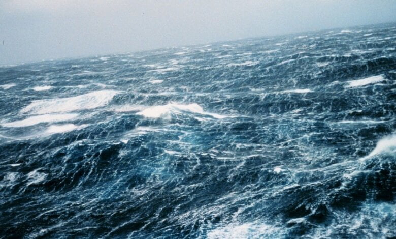 В Украине ожидаются сильные порывы ветра - на Черном море волны поднимутся до 5 метров | Корабелов.ИНФО