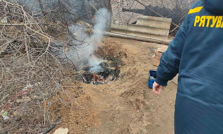 В селе возле Корабельного района обнаружили птичий грипп. Уничтожат более 500 домашних птиц | Корабелов.ИНФО