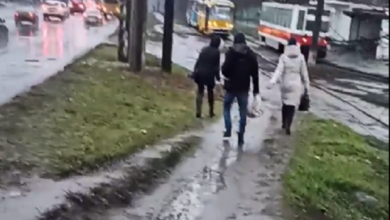 «Сколько по болоту можно ходить?», - жительница Широкой Балки призвала заасфальтировать дорожку (видео) | Корабелов.ИНФО